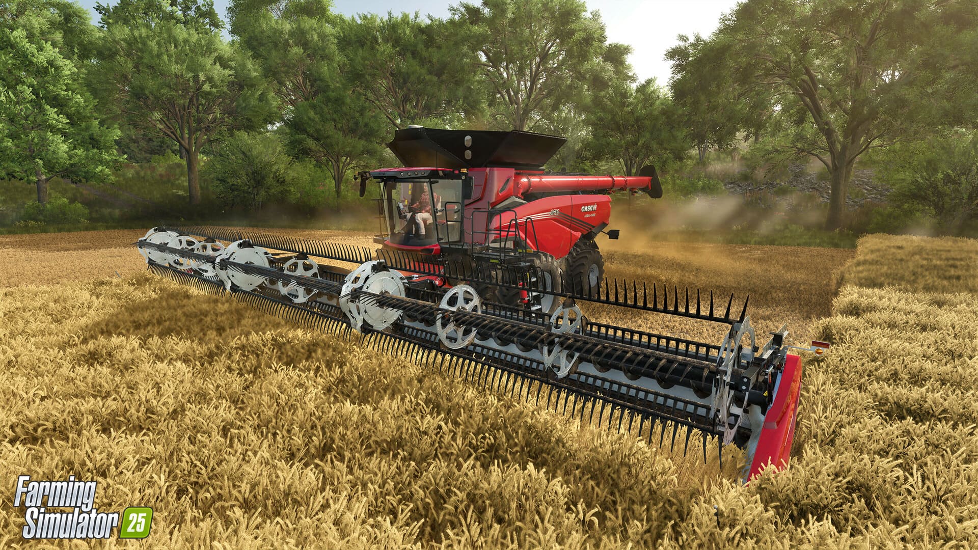 Farming Simulator 25 - Collector's Edition | PC